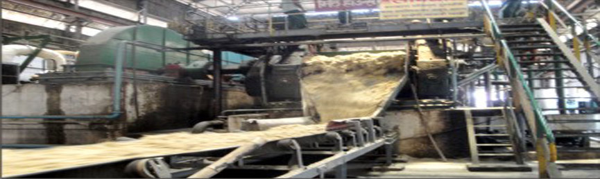 Cane Crussing Procedure